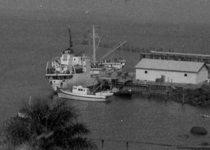 MS Hildegard in Sierra Leone